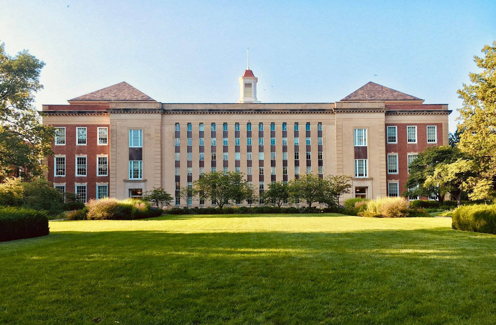 Students at an international university campus