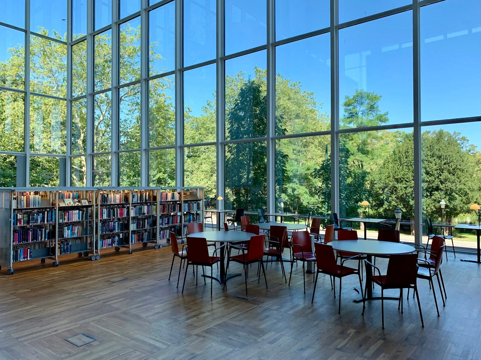 International university library and learning space